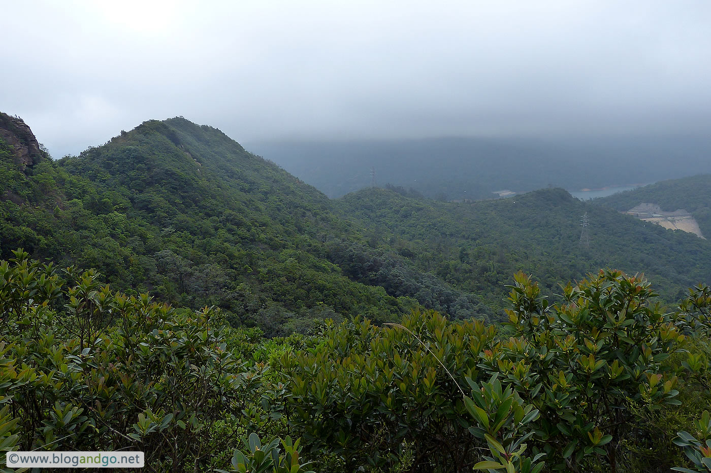 Wilson Trail 6 - To Shing Mun